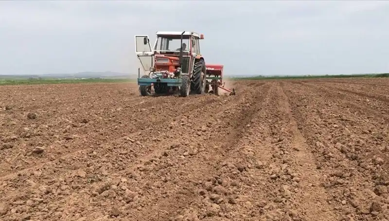 Son 35 Yılın En Kurak Mart Ayı: Yağış Miktarı Tarihi Düşüşte