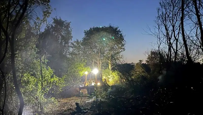 Edirne'deki Orman Yangını: Erken Müdahale ile Korku Dolu Anlar Son Buldu