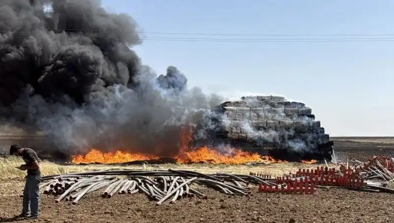 Mardin'de Meydana Gelen Anız Yangını, Tarım Alanlarını Tehdit Ediyor