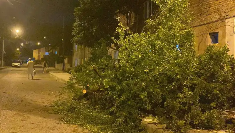 Karabük’te Şiddetli Fırtına: Can ve Mal Kaybı Yaşandı