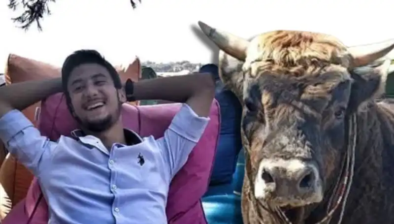 Aydın'da Güreş Boğası İle Yaşanan Korkunç Olay: Can Kaybı!