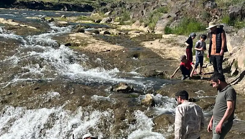 İnci Kefalinin Göçü: Doğanın Eşsiz Gösterisi Turistleri Büyülüyor