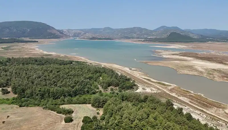İzmir'de Çarpıcı Düşüş: Geçen Yıla Göre Tehlike Çanları Çalıyor!