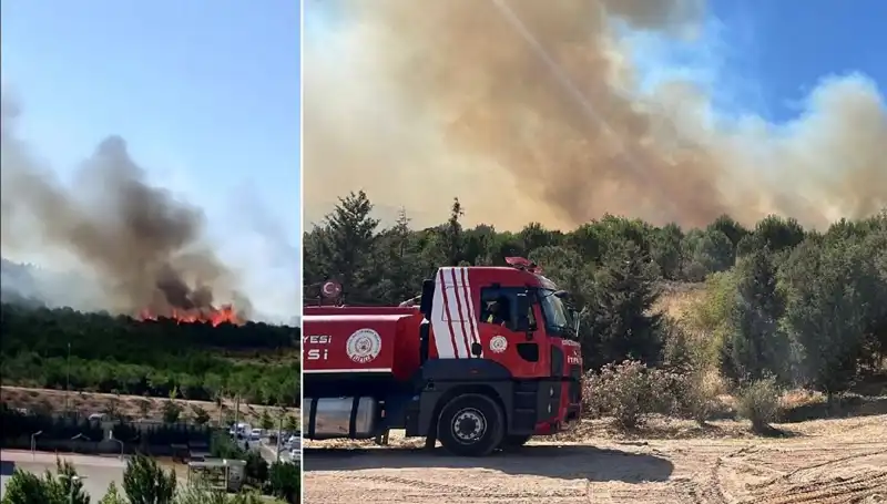 Gebze'de Orman Yangını: Yangınla Mücadele ve Son Durum