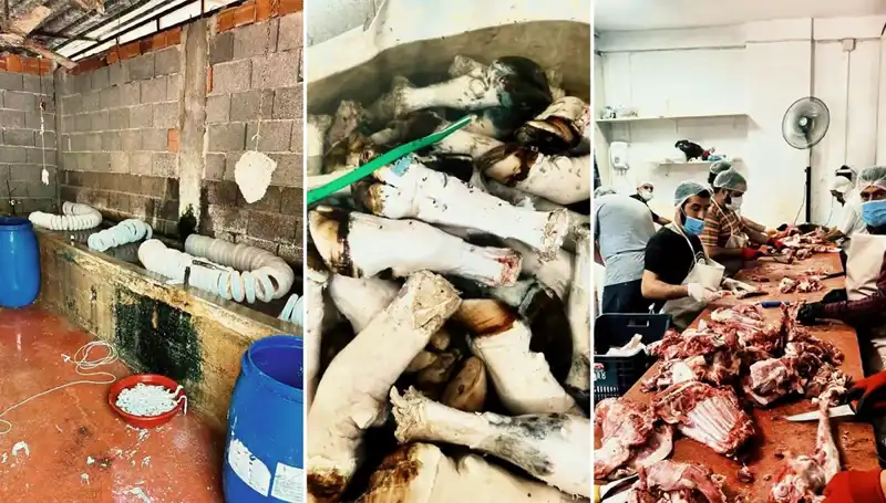 Adana’da Şok Eden Görüntüler: Yüzlerce Kilo Paça Serin Serin Ele Geçirildi!