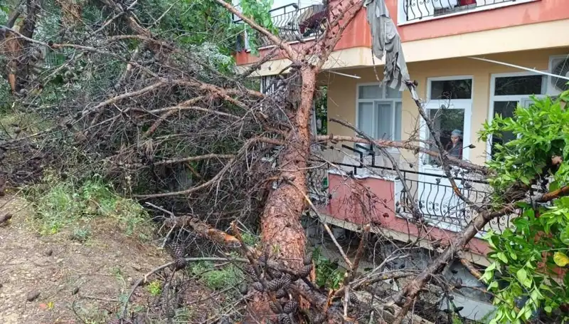 Yağmur Sonrası Skandal: Binanın Üzerine Devrilen Ağır Araçla Yaşanan Kaza