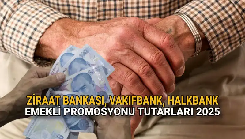 2025 Yılı için Emekli Promosyonları: Kamu Bankaları Neleri Sunuyor?