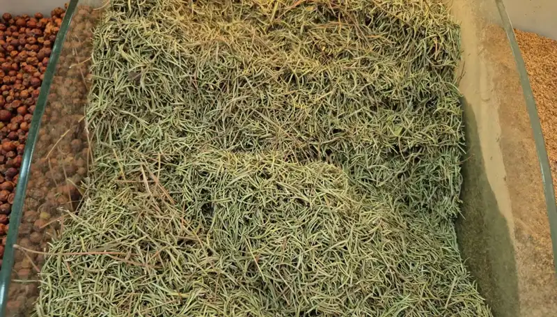 Yaz Aylarında İnternette Satışı Artan Tehlikeli Ürünler Neler?