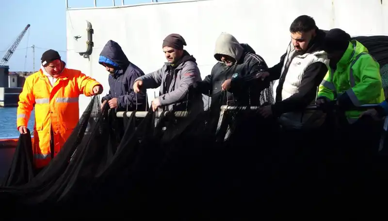 Denizlerde Hamsi Avında Beklenmedik Kriz: Tekneler Erken Paydos Etti