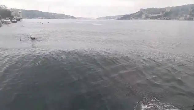 İstanbul Boğazı'nda Dalgalı Günler: Fırtına Neden Oldu?