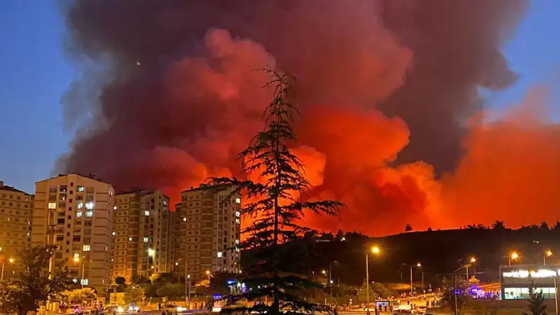Bursa'da Yangın Alarmı: Şehir Yangınlarla Mücadele Ediyor!