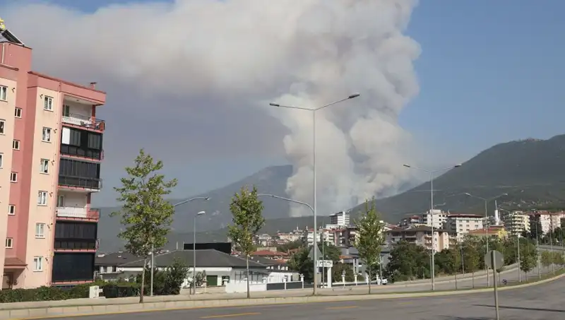 Denizli’de Orman Yangını: Şüpheli Gözaltına Alındı, Endişe Büyüyor!