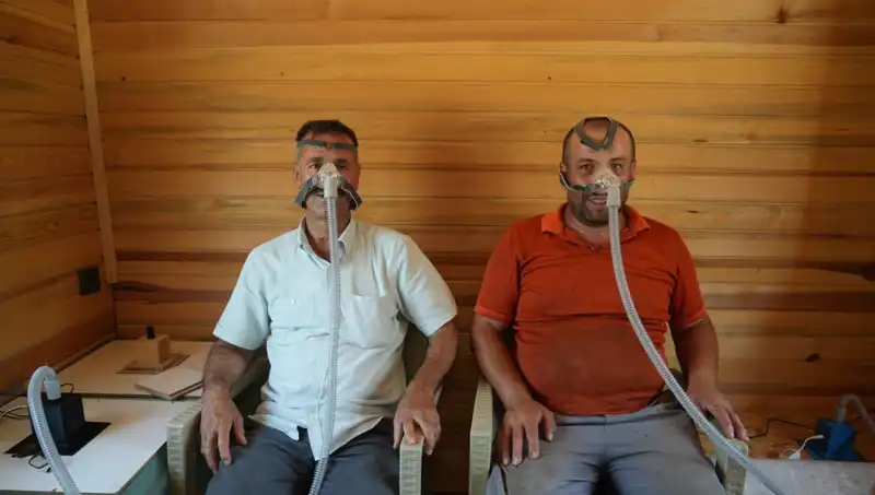 Alerji ve Astıma Savaş Açan Doğal Şifalar: Sağlıklı Alternatifler