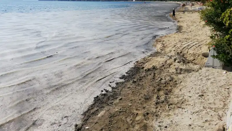Müsilajla Mücadelede Tarihi Adım: 268 İşletme Kapatıldı